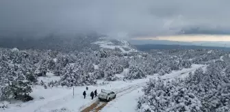 Muğla'da Yaban Hayvanları İçin Doğaya Yem Bırakıldı