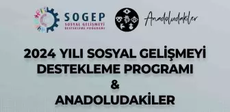 2024 Sosyal Gelişmeyi Destekleme Programı'nda 10 Proje Desteklenecek