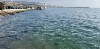 Tekirdağ'da Poyraz Sona Erdi, Deniz Ulaşımı Normale Döndü