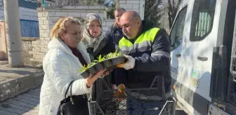 Turhal Belediyesi'nden Regaip Kandili Öncesi Mezarlıklarda Çiçek Dağıtımı