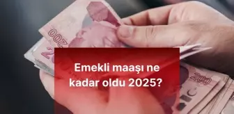 Emekli maaşı ne kadar oldu 2025? 2025'te emekli maaşı kaç TL oldu?