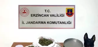 Erzincan'da Asayiş Faaliyetleri: 138 Olay Aydınlatıldı