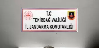 Tekirdağ'da Uyuşturucu ve Silah Operasyonu: Çok Sayıda Ele Geçirildi