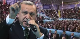 Cumhurbaşkanı Erdoğan partililere patladı: Çok şikayet alıyorum, AK Parti böyle olamaz