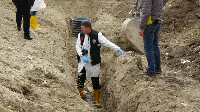 Human bones found in the garden of the Teacher's House