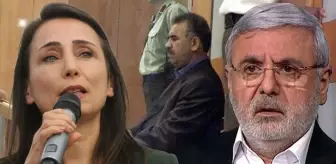 AK Partili Mehmet Metiner'den DEM Partili ismin İmralı tehdidine olay yanıt