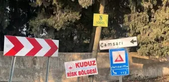 Hatay'da kuduz alarmı: Bir mahalle riskli alan ihale edildi