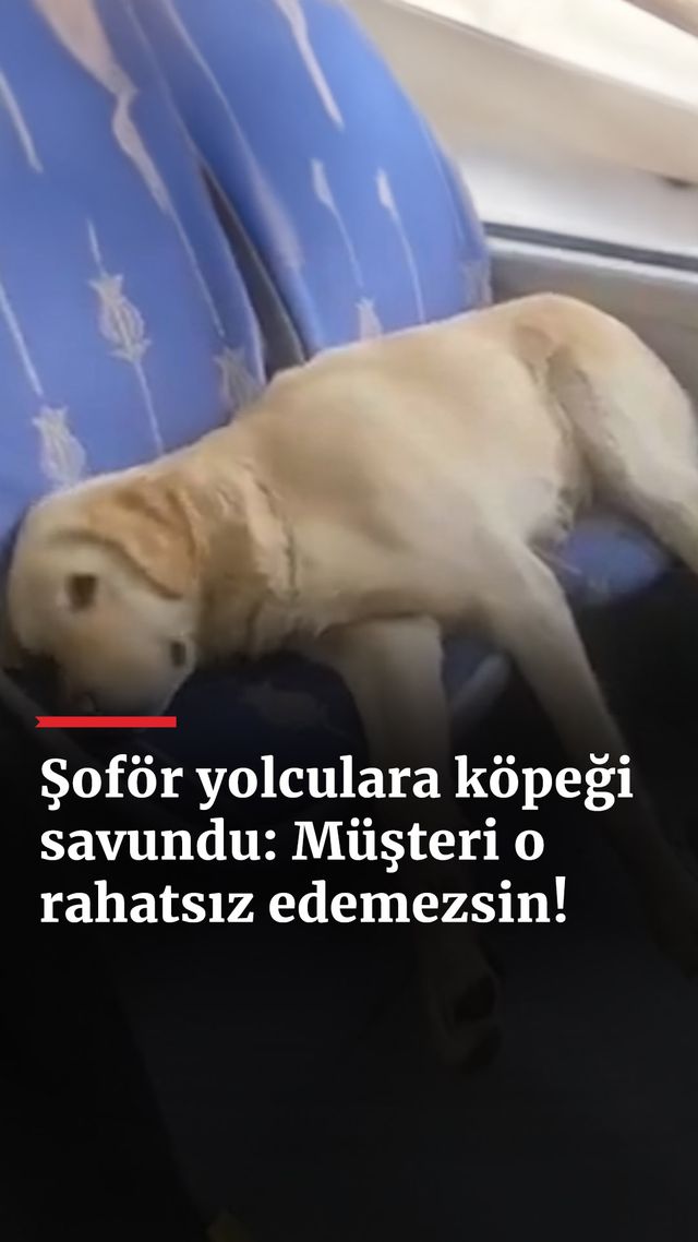https://foto.haberler.com/haber/2025/01/06/sofor-yolculara-kopegi-savundu-musteri-o-rahatsiz-edemezsin_6433_o.jpg