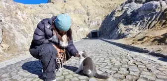 Iğdır Tuz Mağaraları'nın Maskotu: 'Duman' adlı Kedi