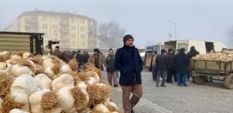 Taşköprü Sarımsağı Pazarı Zorlu Havalara Rağmen Devam Ediyor