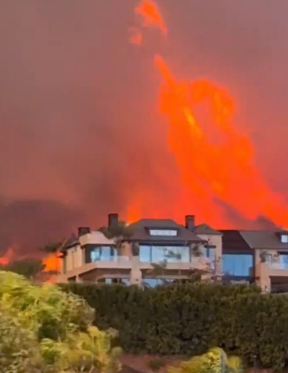 Famous actors' mansions were also turned to ashes in the forest fire in the USA