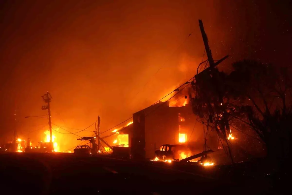 California'yı Sarmalayan Ateş: 2 Bin 921 Dönüm Orman Küle Döndü