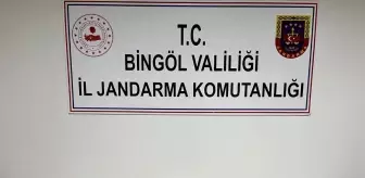 Bingöl'de uyuşturucu operasyonu: 2 kişi yakalandı