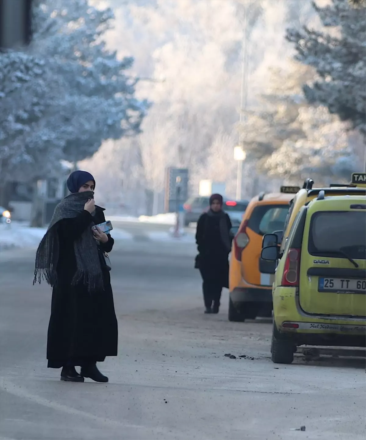 Bitlis'te Soğuk Hava ve Sis Etkili: Kırağı Oluştu