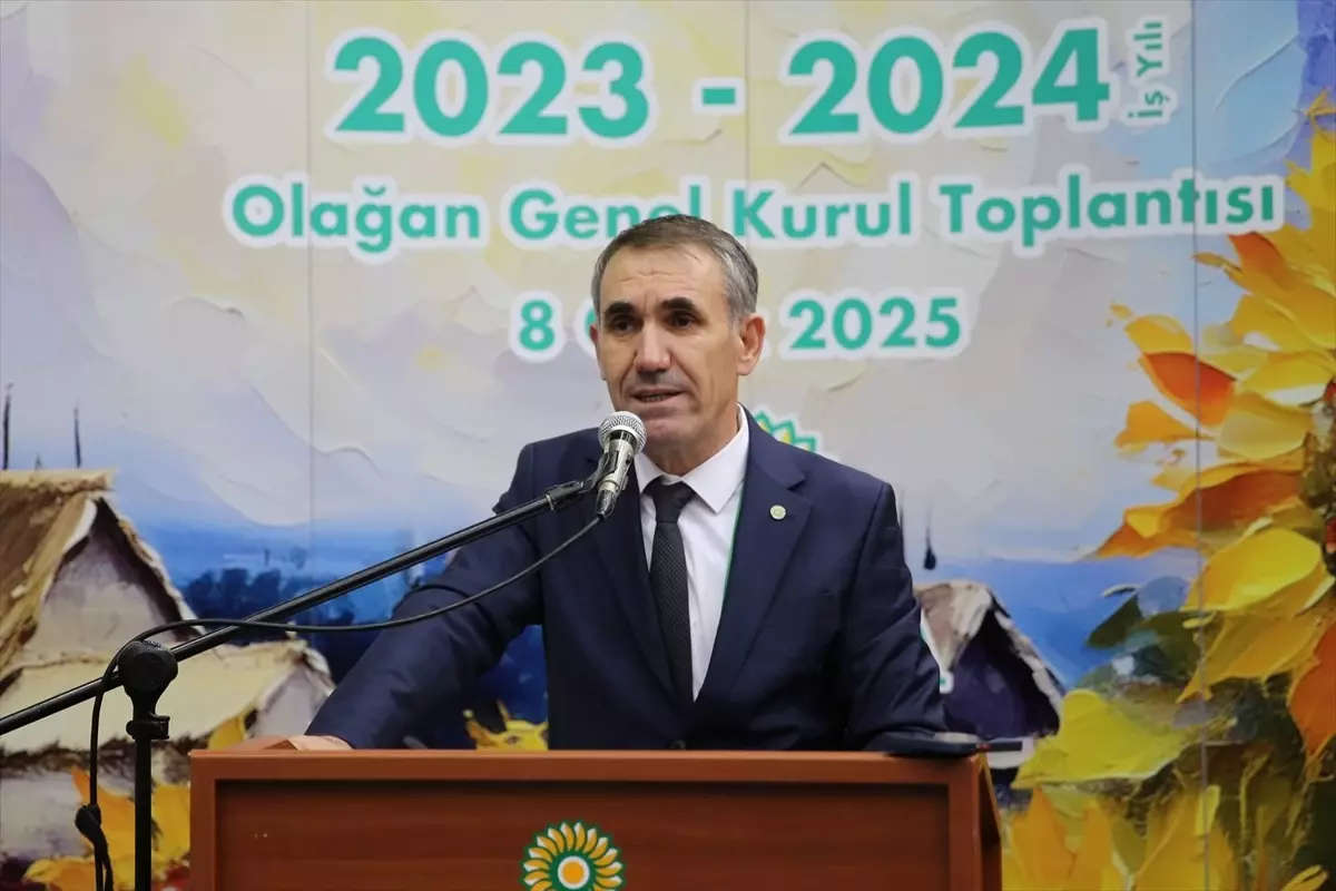 Kuraklık Ayçiçeği Üretimini Olumsuz Etkiliyor