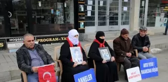 Muş'ta Aileler, PKK Tarafından Kaçırılan Çocukları İçin Eylemde Bulundu