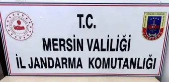 Mersin'de Sahte İlan Dolandırıcılığı: 1 Tutuklama