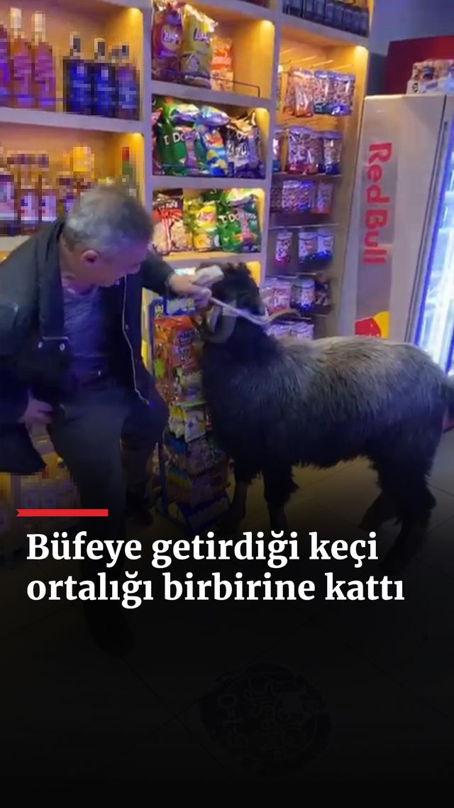 https://foto.haberler.com/haber/2025/01/10/bufeye-getirdigi-keci-ortaligi-birbirine-katti_234_o.jpg