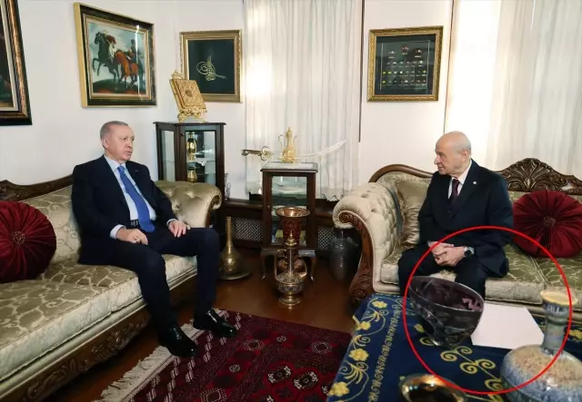 The detail of the 'white file' that drew attention in the meeting between President Erdoğan and Bahçeli