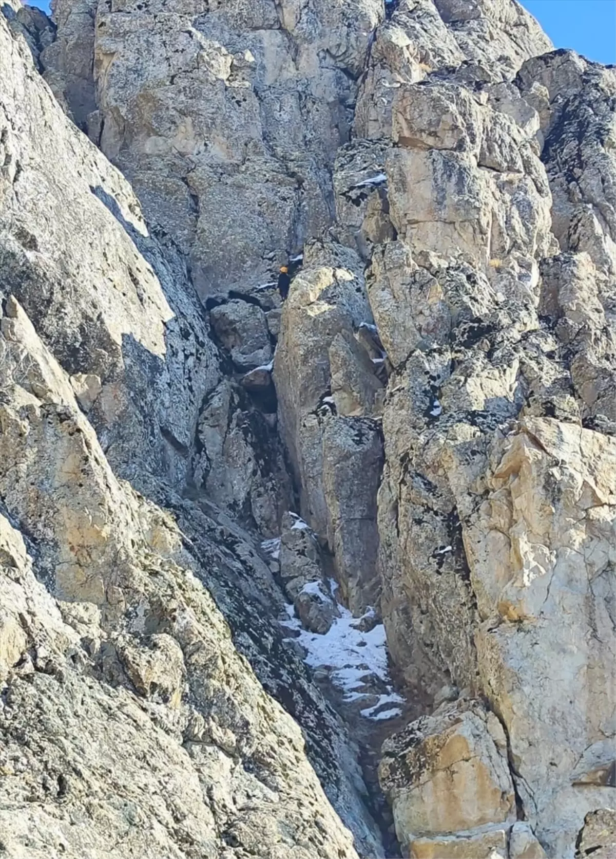 Hakkari'de Mahsur Kalan 9 Keçi Kurtarıldı