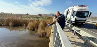 Tekirdağ'da Müsilajla Mücadele İçin Atık Su Denetimleri Başlatıldı