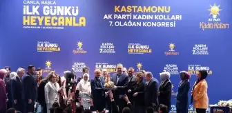 AK Parti Grup Başkanvekili Gül, Kastamonu Kadın Kolları Kongresi'nde konuştu Açıklaması