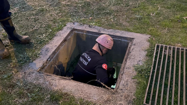 The report of 'A child in the sewer in Antalya' caused panic