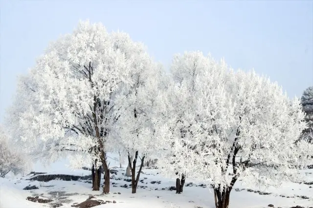 Thermometers in Ardahan showed minus 24.8 degrees