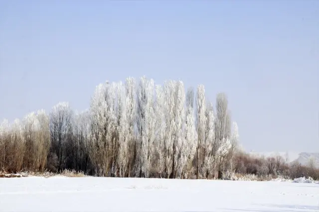 Thermometers in Ardahan showed minus 24.8 degrees