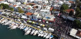 Bodrum'da 9. Hamsi Festivali Yoğun İlgiyle Gerçekleşti