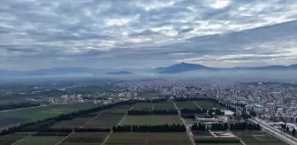 Torbalı Orman Fidanlık Müdürlüğü: Türkiye'nin Yeşil Geleceğine Katkı