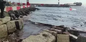 Poyraz Fırtınası Marmara Denizi'ni Kızıl Renkte Boyadı