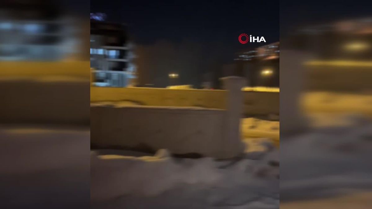 Bayburt'ta Yiyecek Arayan Tilki Evlerin Çatısında Görüntülendi