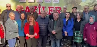 Gülizar Biçer Karaca'dan Kıbrıs Gazileri İçin İktidara Çağrı: 'Övünç Madalyası Verilmesi İçin Kanun Teklifi Çıkartılsın'