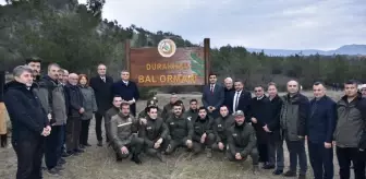 Sinop'ta 827'nci Bal Ormanı Kuruldu