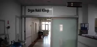 Aydın'da Usulsüz Organ Nakli Davasında Doktor Ceza Aldı