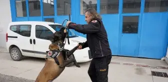 Narkotik Köpeği Milon, Aralık Ayının Köpeği Seçildi