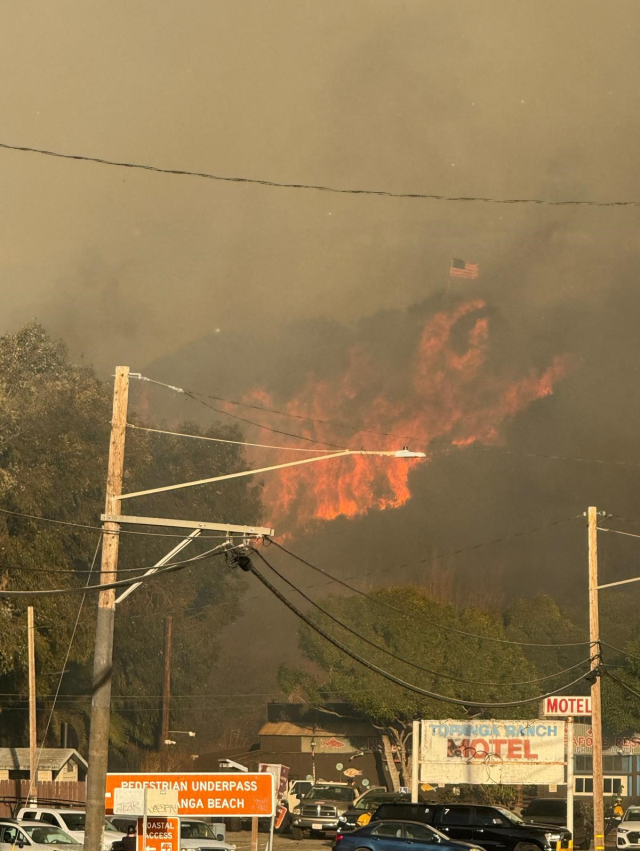 Gülistan, who lost her home in the Los Angeles fire: 'I lived through hell'