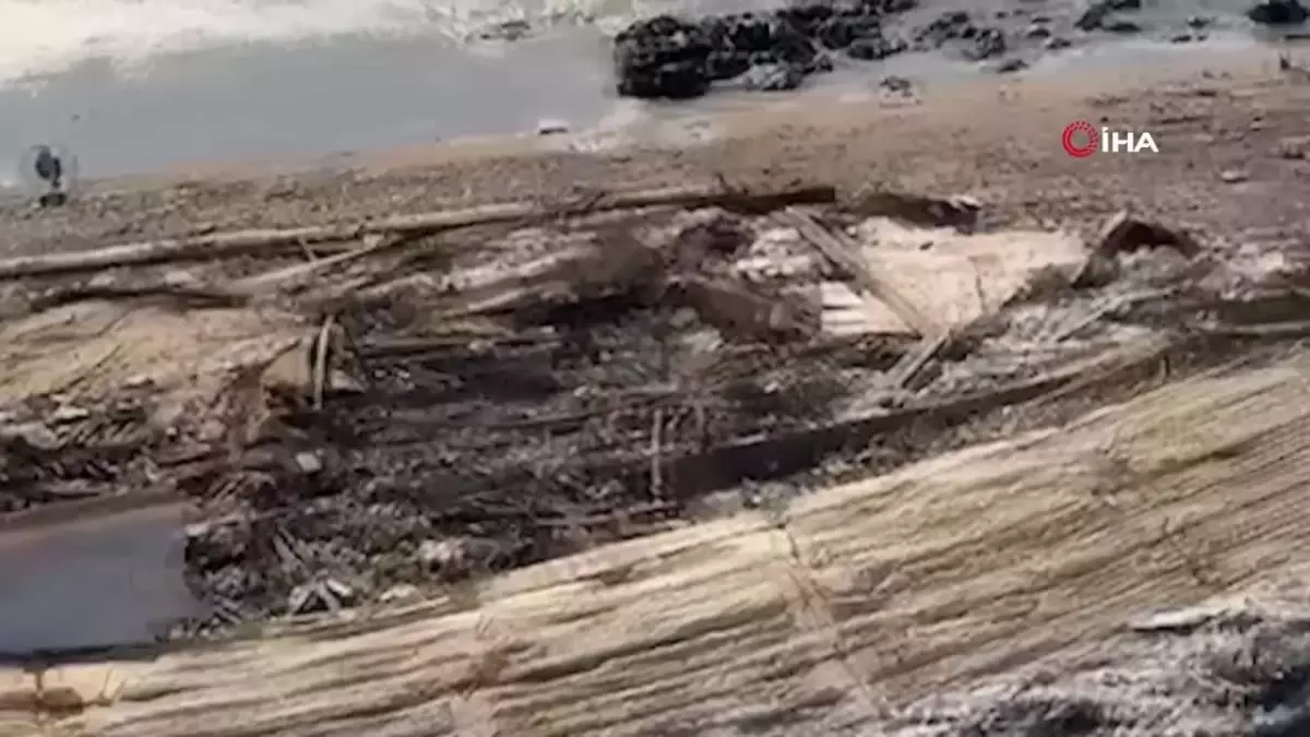 Los Angeles'taki yangında evi yanan Gülistan: "Cehennemi yaşadım"