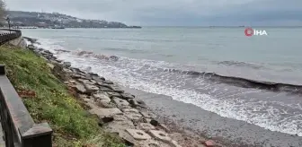 Poyraz Fırtınası Balıkçıları Vurdu, Kıyıya Kızıl Yosunlar Sürüklendi