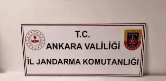 Ankara'da Tarihi Eser Operasyonu: 530 Parça Eser Ele Geçirildi