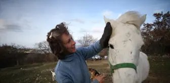 Çanakkale'nin sıra dışı hayvanseveri