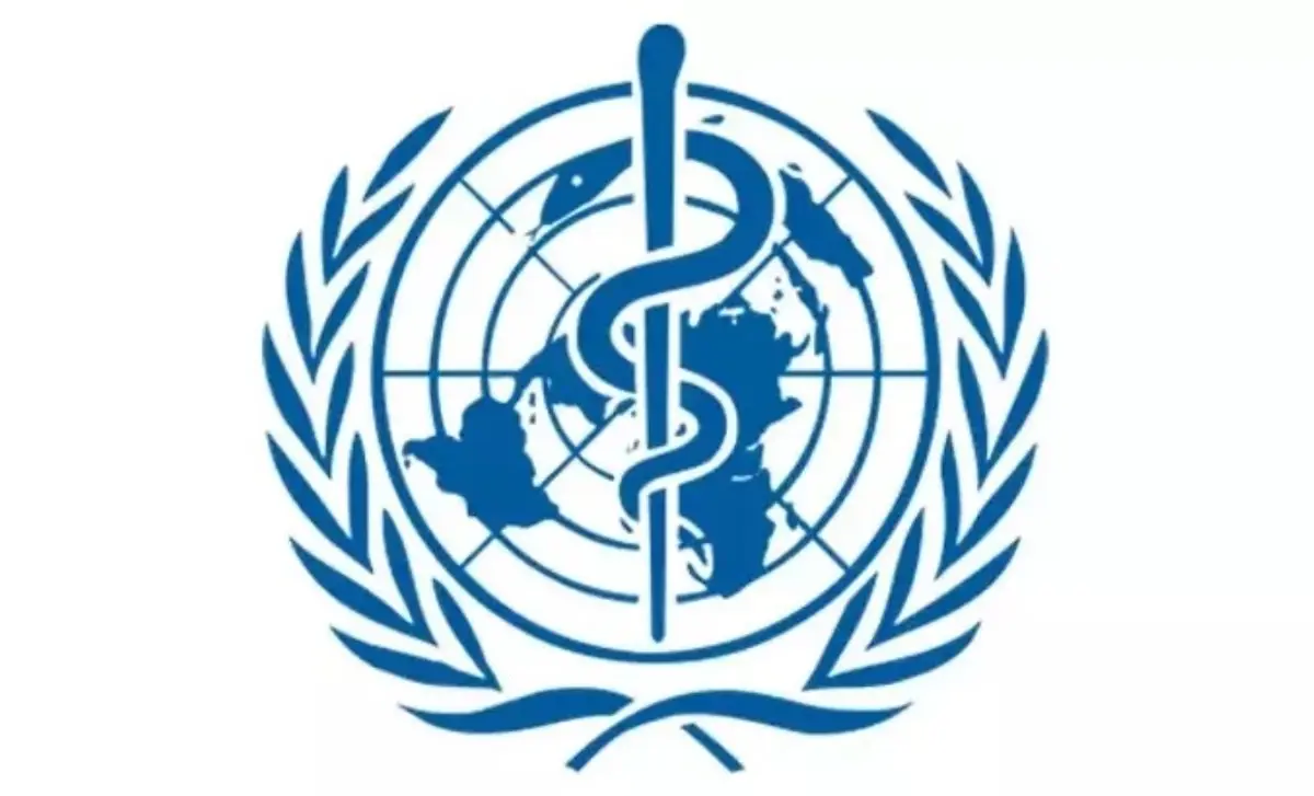 Tanzanya'da Marburg Virüsü Nedeniyle 8 Kişi Hayatını Kaybetti