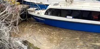 Marmara Denizi'nde Müsilaj Endişesi Yeniden Başladı