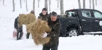 Kırklareli'nde Yaban Hayvanları için Yemleme Faaliyeti