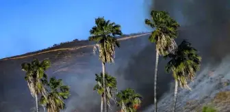 California'da Yeni Yangın Kontrol Altına Alındı, Kundaklama Şüphesiyle Gözaltılar Var