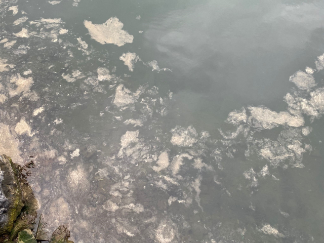 A frightening image on the sea surface in Kadıköy