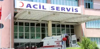 Nazilli'de İncir Ağacına Asılı Ölüm: 52 Yaşındaki Adam Bulundu