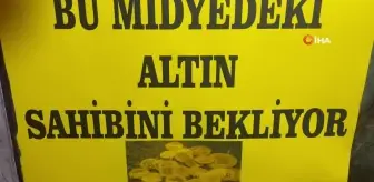 Karabük'te Midyeden Altın Çıktı: Üniversite Öğrencisi Kazandı