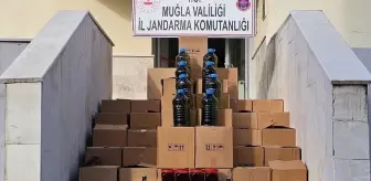 Muğla'da Sahte Zeytinyağı ve Bal Operasyonu: 890 Litre Zeytinyağı, 420 Litre Bal Ele Geçirildi